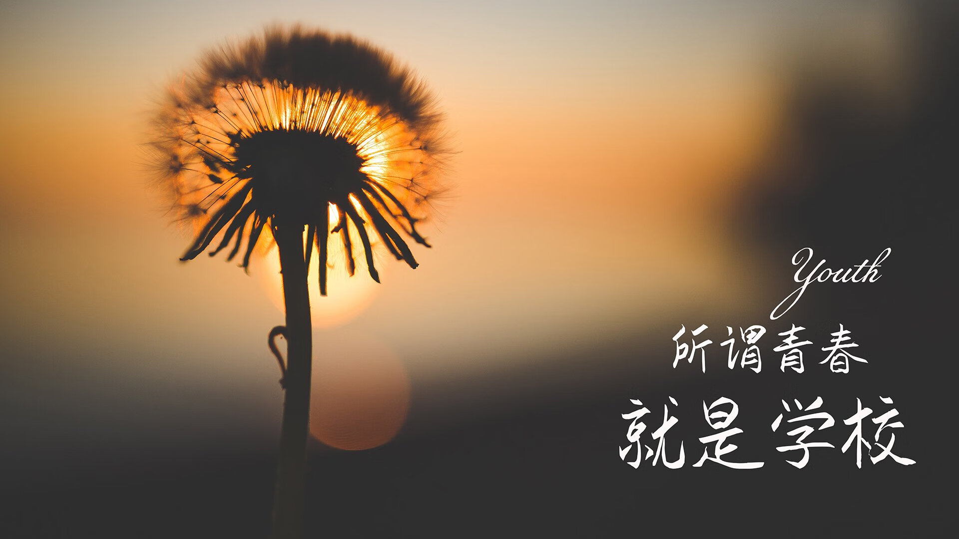 家用车辆保险推荐买的险种有哪些(家用汽车保险买哪几种)